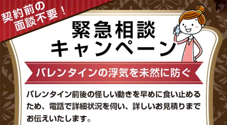 バレンタインデイ緊急相談キャンぺーン